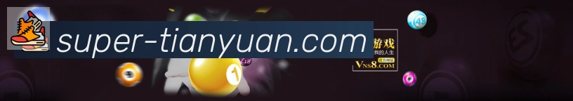 未来规划